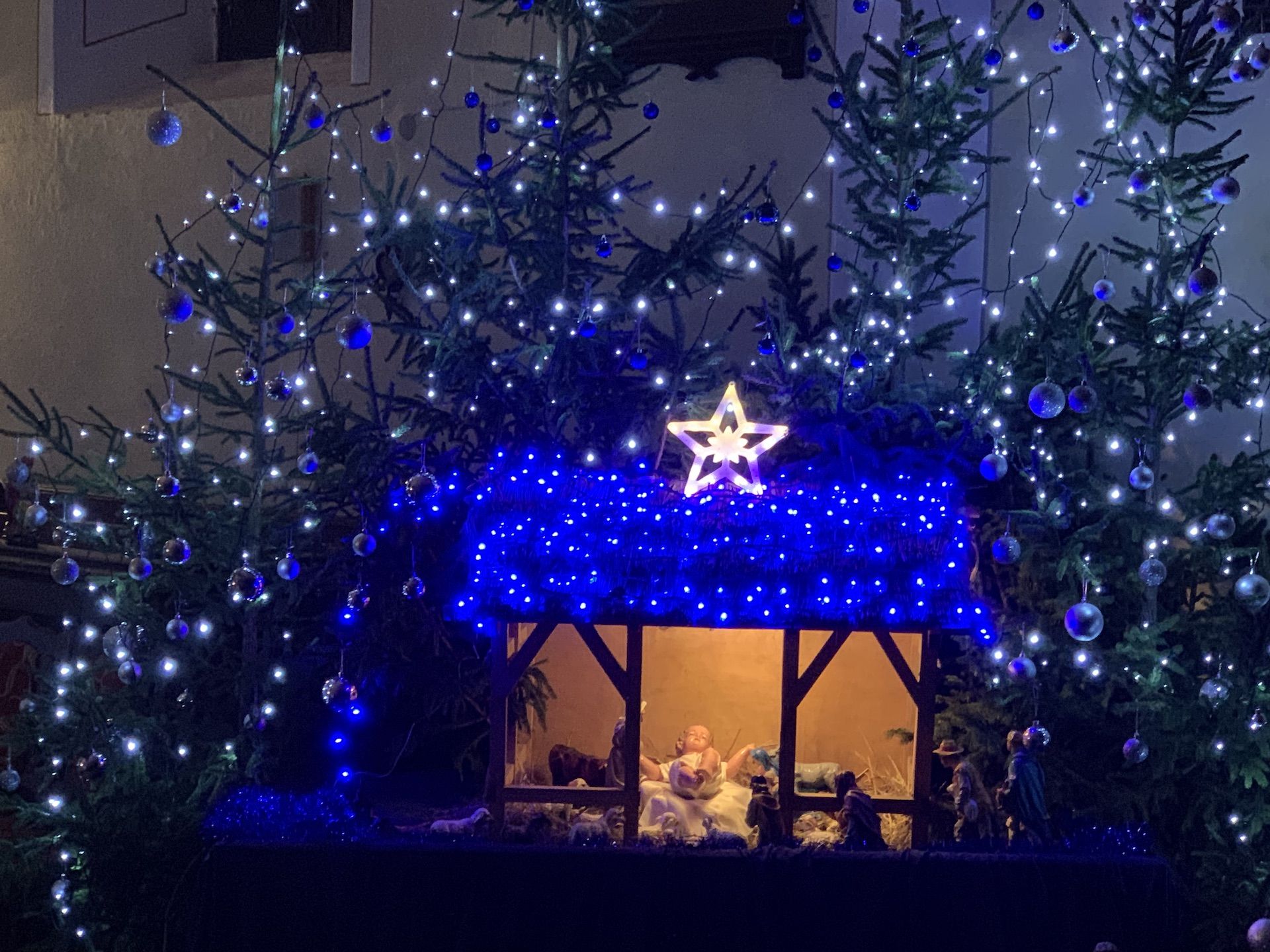 Runowo - Boże Narodzenie 2024